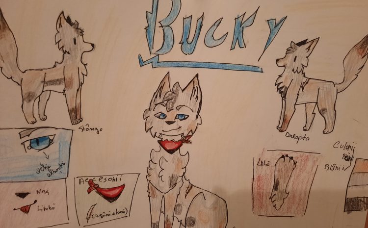  Bucky câinele salvator